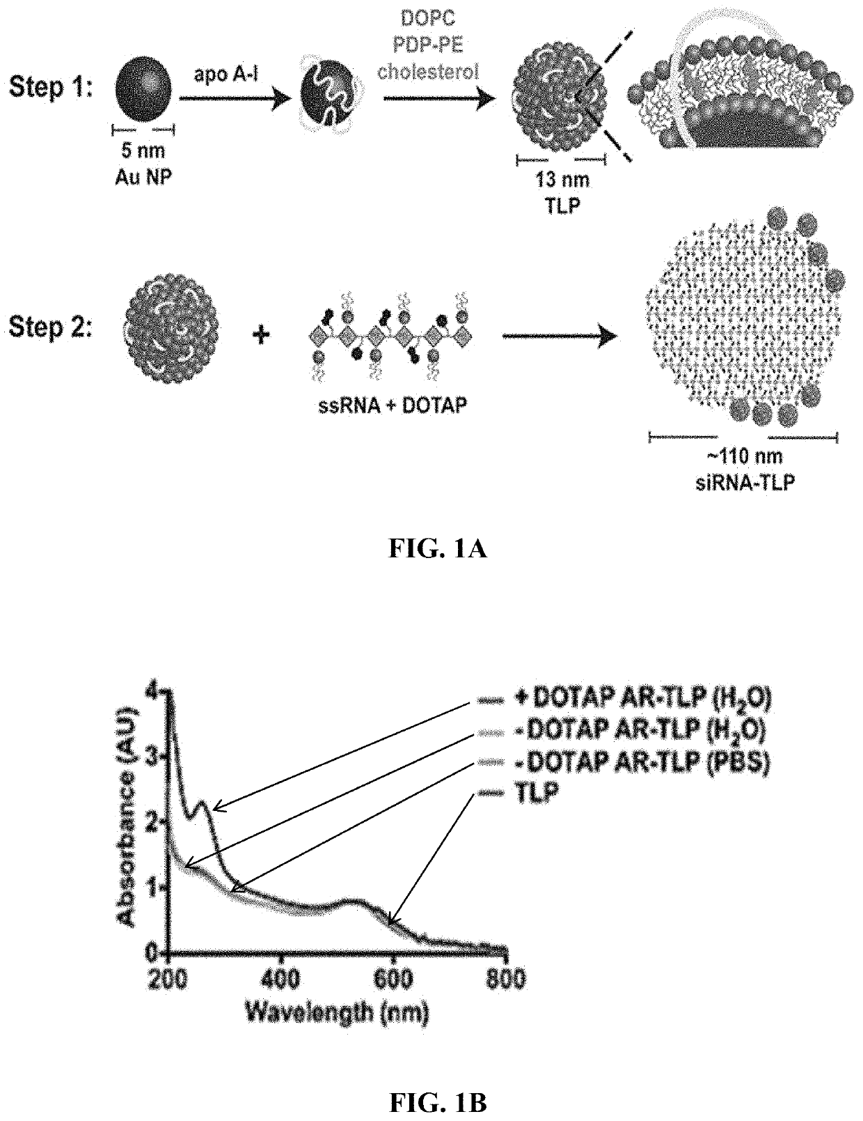 Short interfering RNA templated lipoprotein particles (siRNA-TLP)
