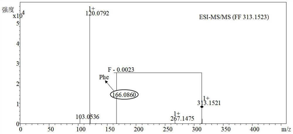 Sleep-improving enzymolysis substance rich in aromatic amino acid, and preparation method for sleep-improving enzymolysis substance