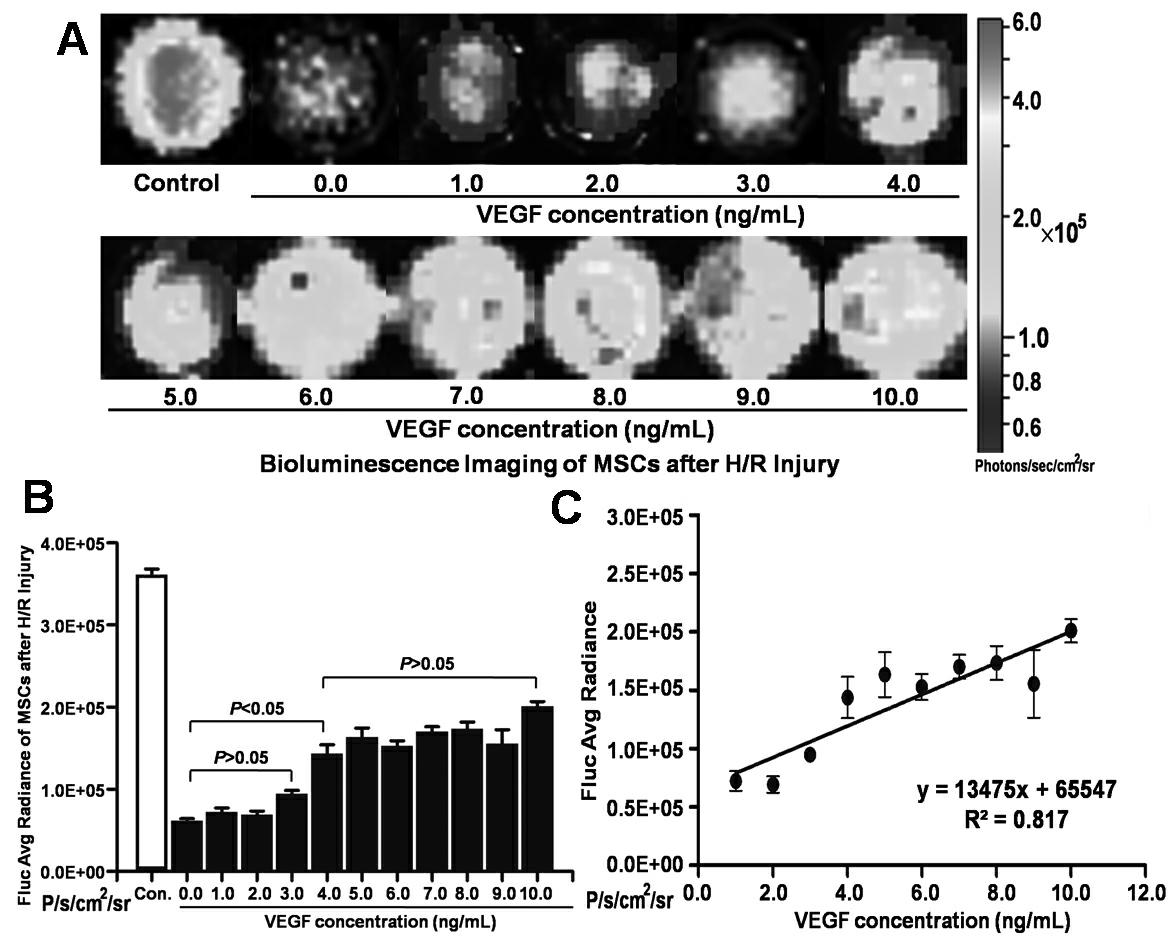 Stem cell combined growth factor injection for promoting angiogenesis in ischemic tissue and its preparation method and use method