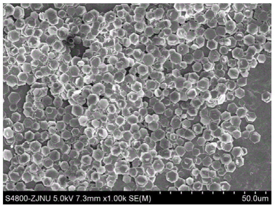 Monodisperse nanosheets and/or nanorings and their preparation and application