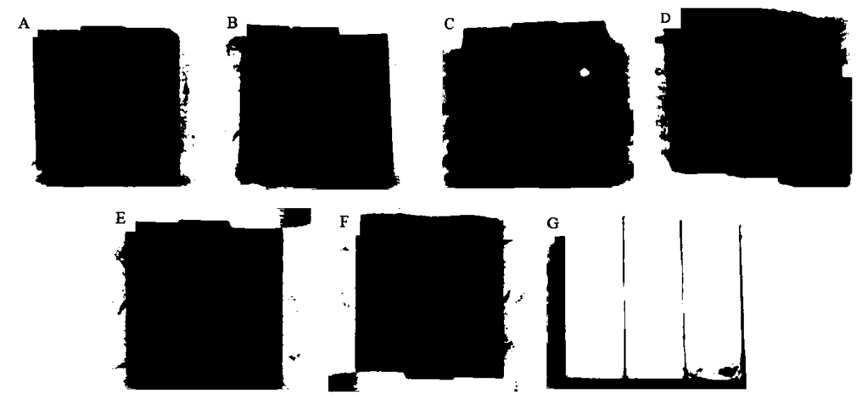 Environmentally friendly sintering coating of low-adhesion phase metal ceramic