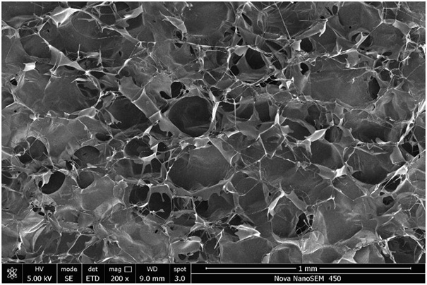 Preparation method of abalone shell powder/ZnO composite material doped intelligent hydrogel wound dressing with bacteriostatic effect