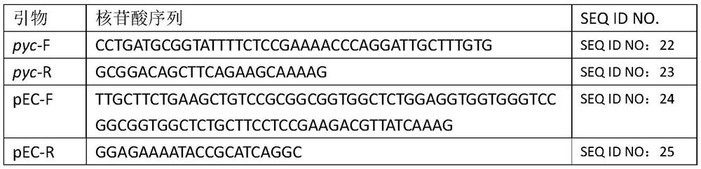 Mutant of pyruvate carboxylase gene promoter and application thereof