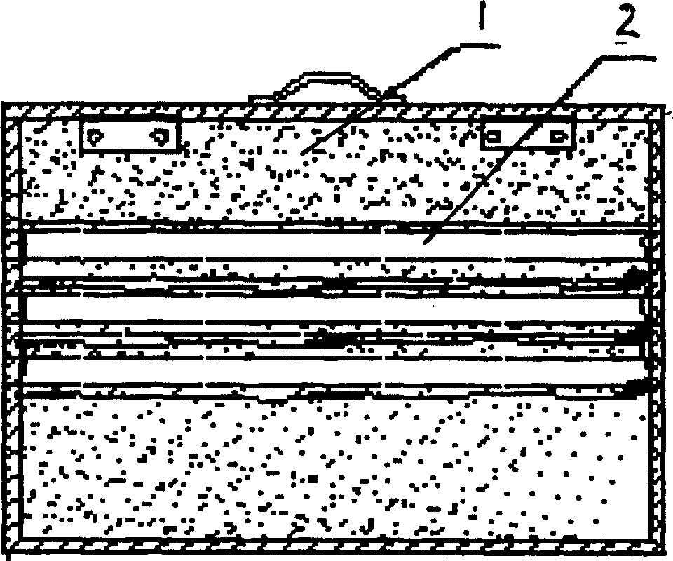 Method for preventing and treating aphid by artificial baiting eleven-star ladybug