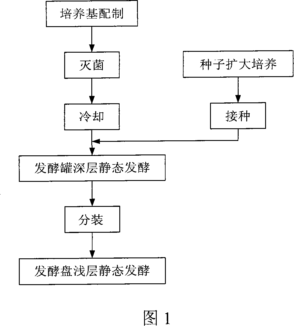 Method for producing Nata de Coco by deep layer and superficial layer static state couple fermentation