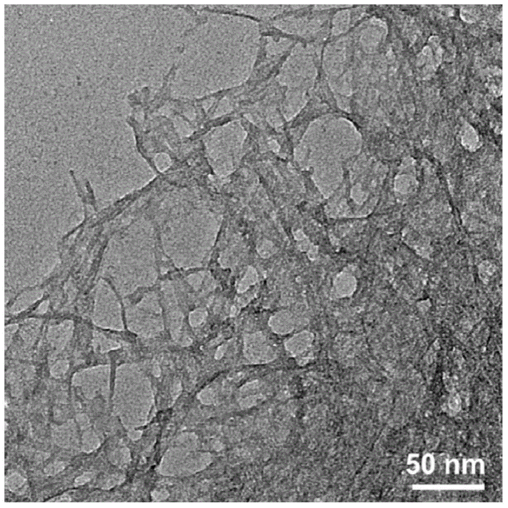 Acicular nanowires assembled into nanosheets of aqueous v  <sub>2</sub> o  <sub>5</sub> Xerogel and its preparation method and application