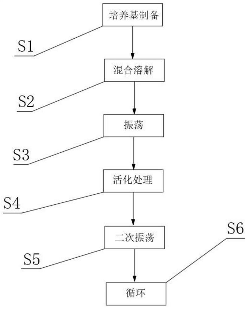 Preparation method of saccharomycetes for fermented glutinous rice cake-shaped chilies