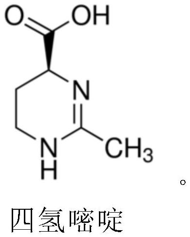 Application of ectoine substances and drinking wine containing ectoine substances