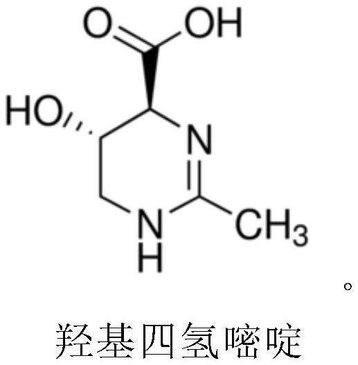 Application of ectoine substances and drinking wine containing ectoine substances