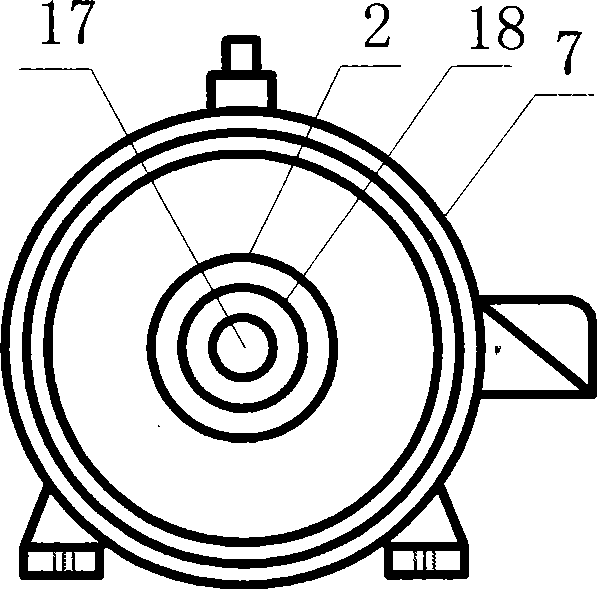 Non-impeller hollow screw axis centrifugal cavity pump