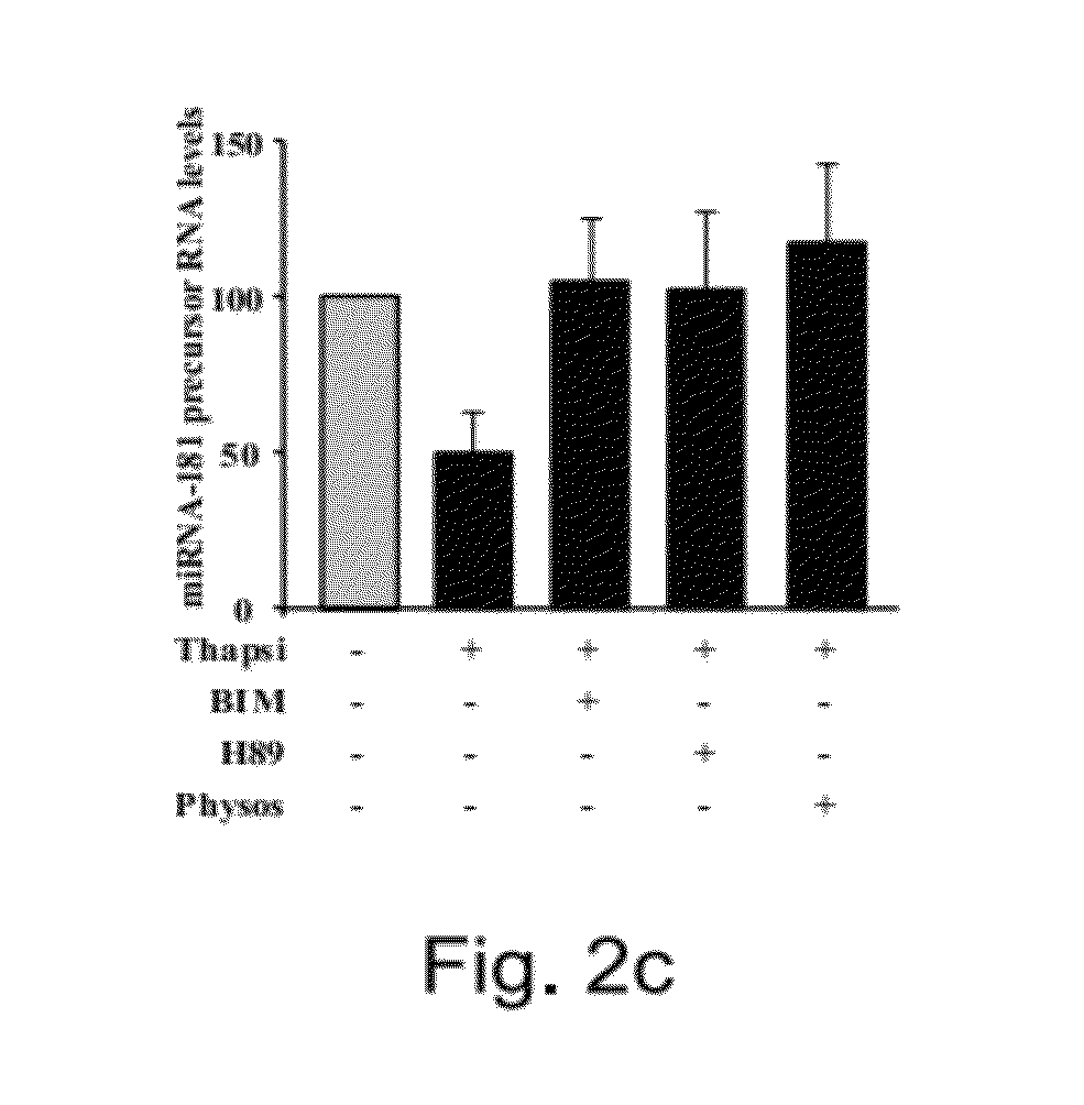 Agents, compositions and methods for treating pathologies in which regulating an ache-associated biological pathway is beneficial