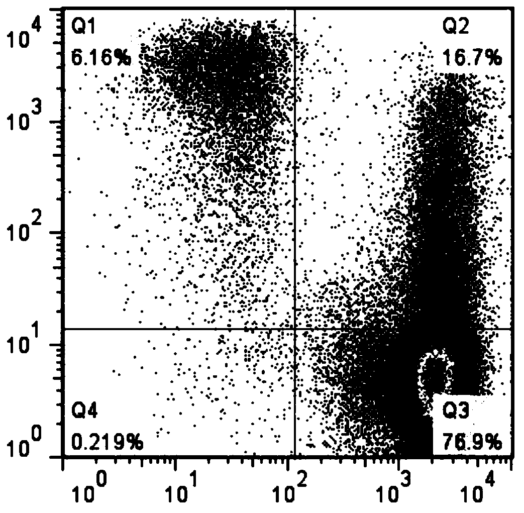 A kind of preparation method and application of dendritic cell