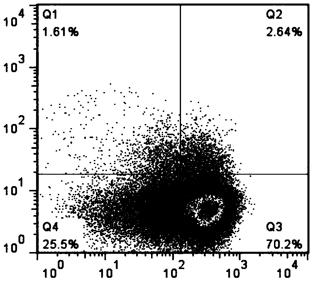 A kind of preparation method and application of dendritic cell