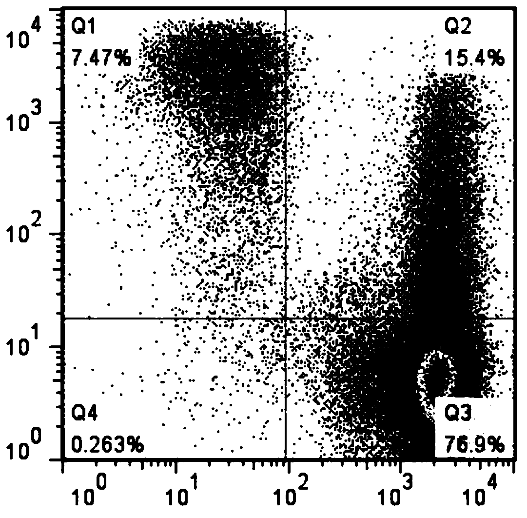 A kind of preparation method and application of dendritic cell