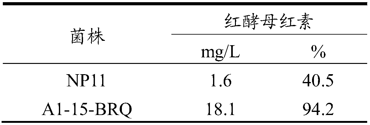 Rhodosporidium toruloides strain and application thereof to production of torularhodin