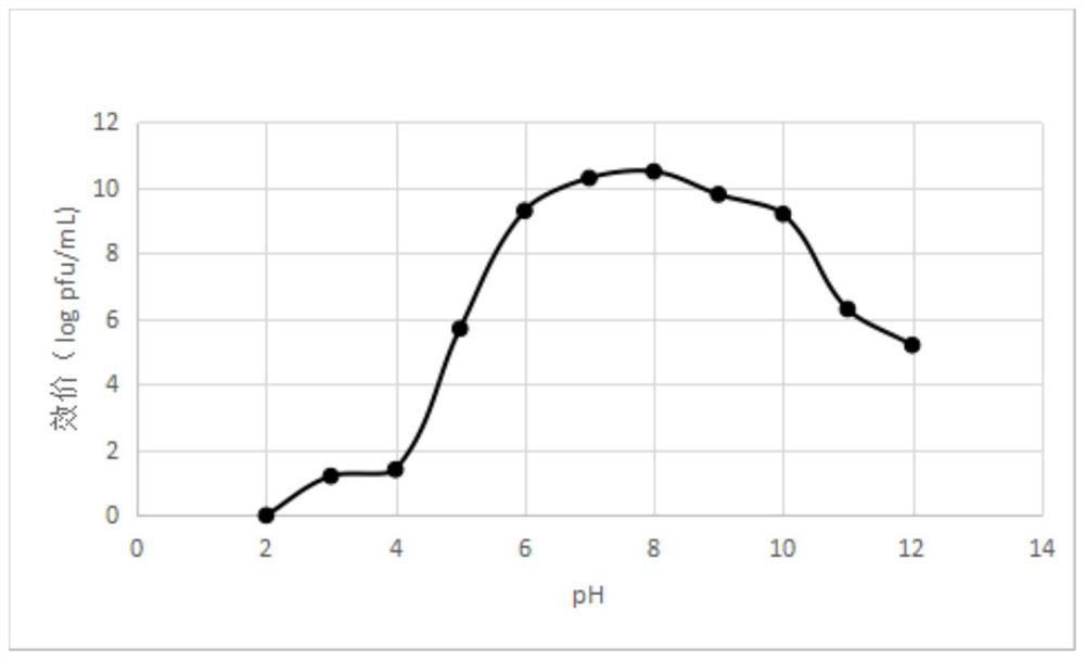 Cracking vibrio parahaemolyticus bacteriophage RDP-VP-21007 and application thereof