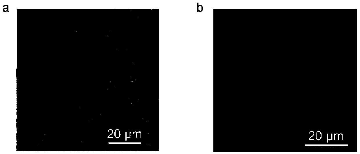 Corrosion-resistant metal lithium negative current collector and preparation method and application thereof