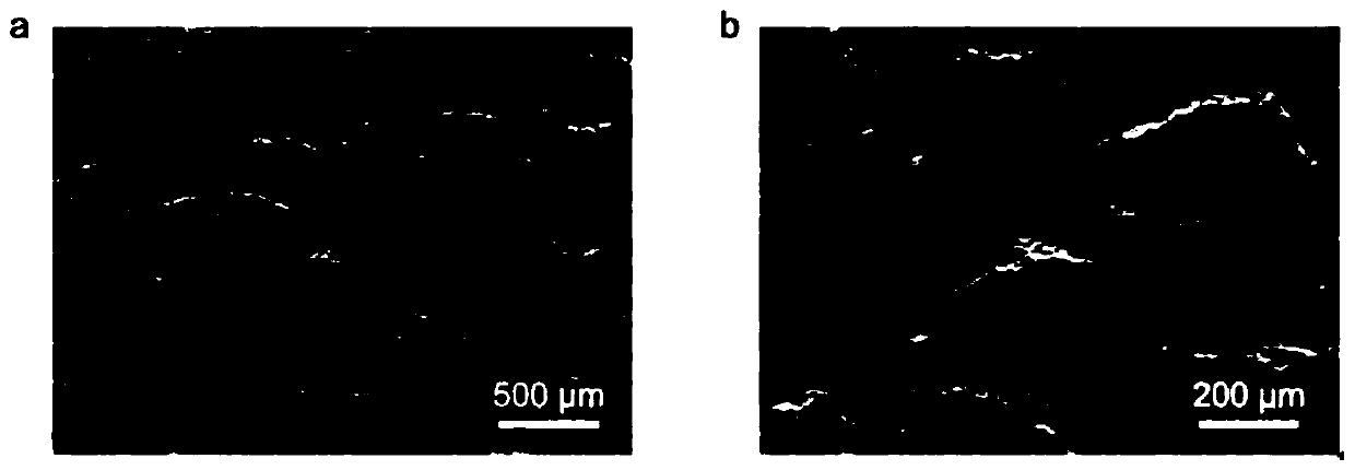 Corrosion-resistant metal lithium negative current collector and preparation method and application thereof