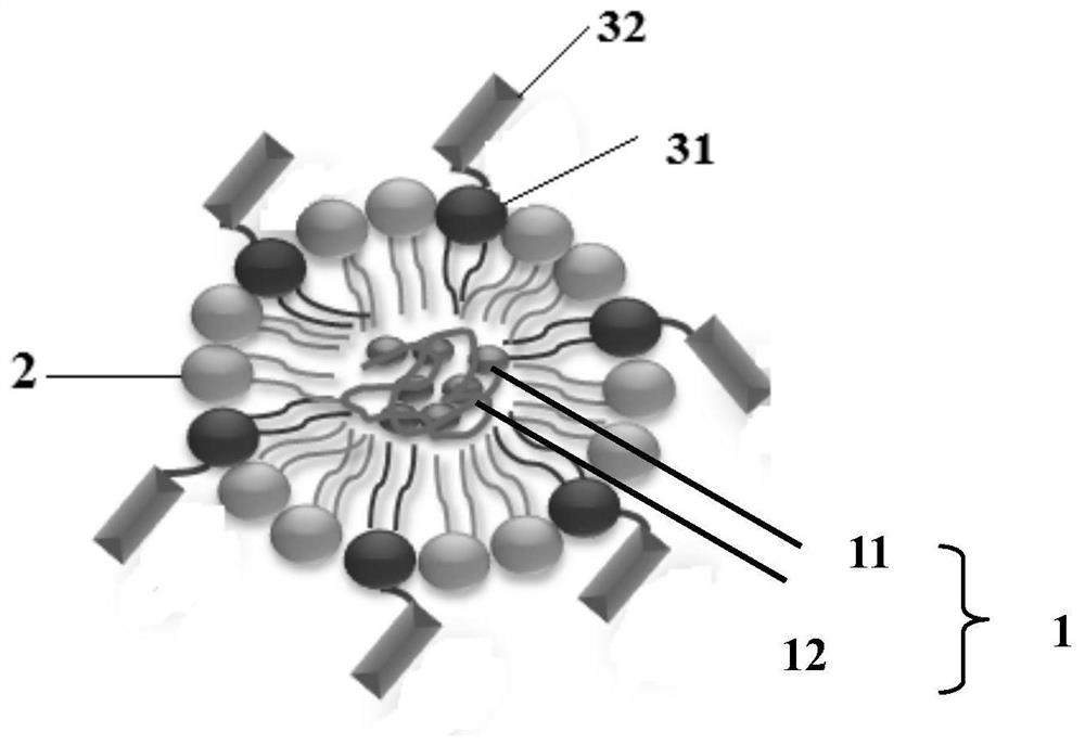 Placenta-targeted nanoparticle for medical abortion and its preparation method and application