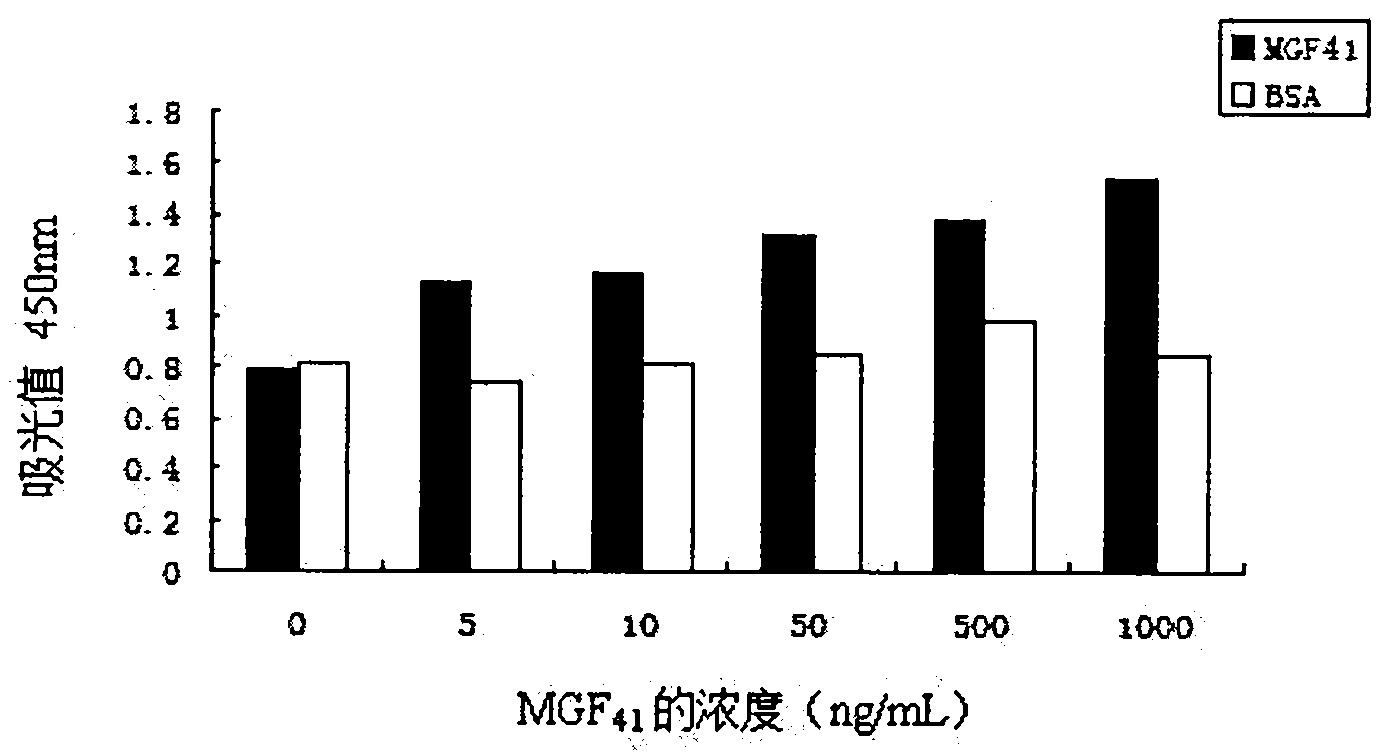 Mechano growth factor polypeptide, preparation method and application thereof