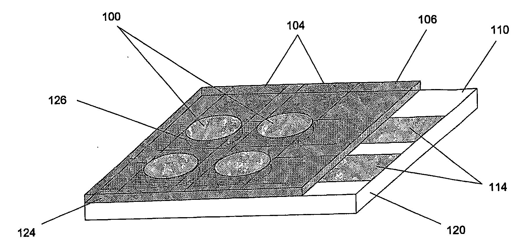 Manufacturing method and readout system for biopolymer arrays