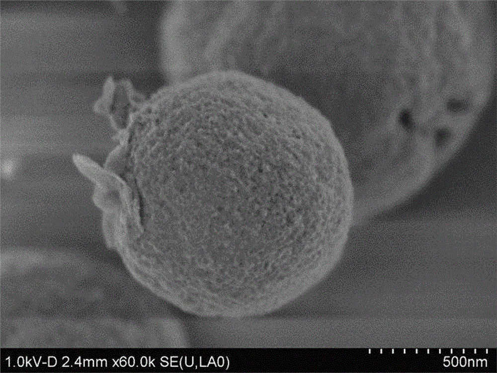 A kind of preparation method of hierarchical porous low silica zeolite