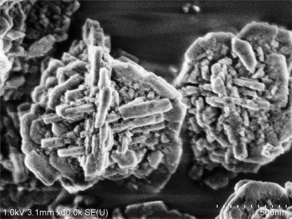 A kind of preparation method of hierarchical porous low silica zeolite