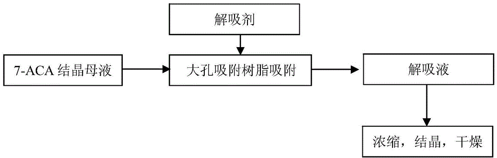 Process for recovering 7-ACA (aminocephalosporanic acid) crystallization mother liquor