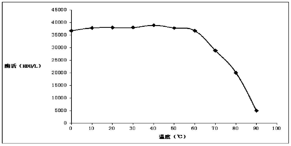 Compound enzyme preparation and its preparation method and application