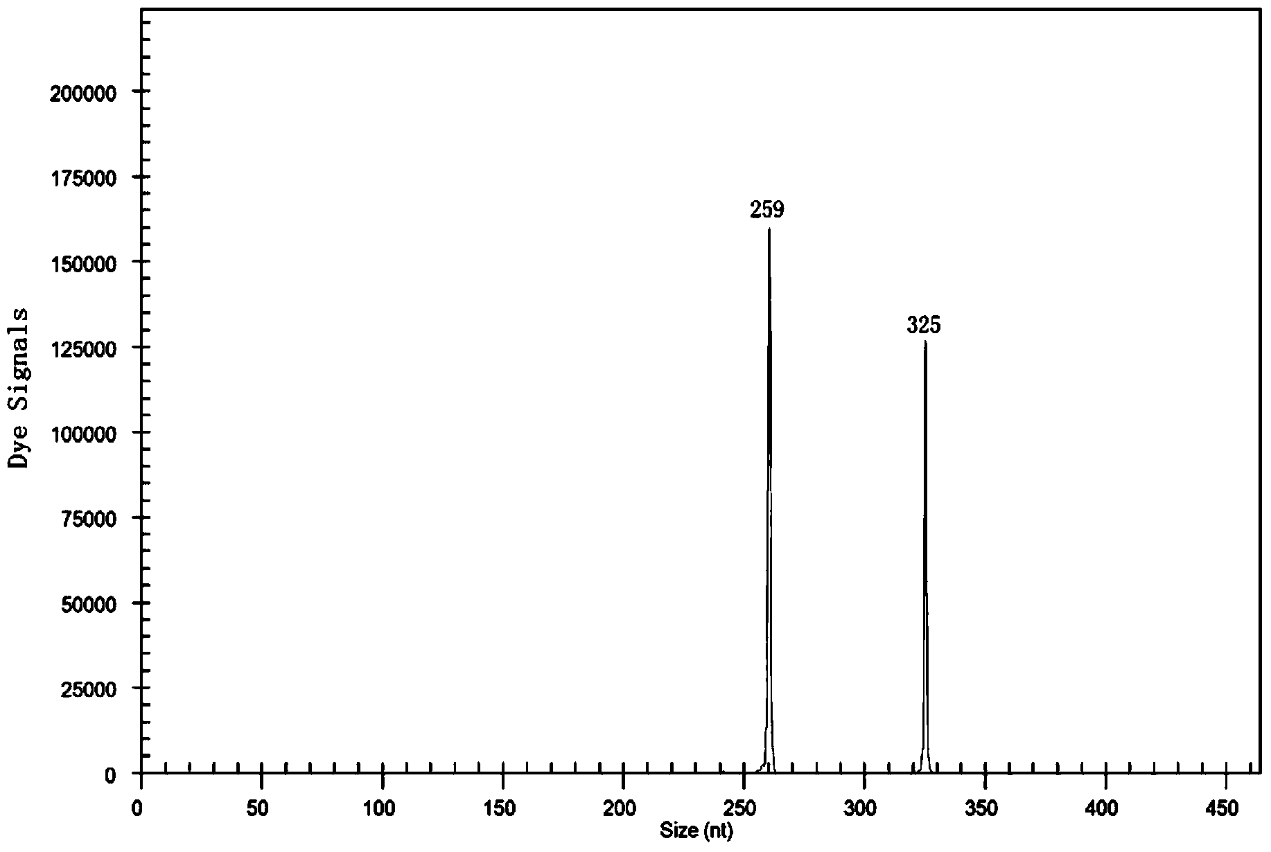 Method for rapidly detecting industrial saccharomyces pastorianus ester metabolism genes