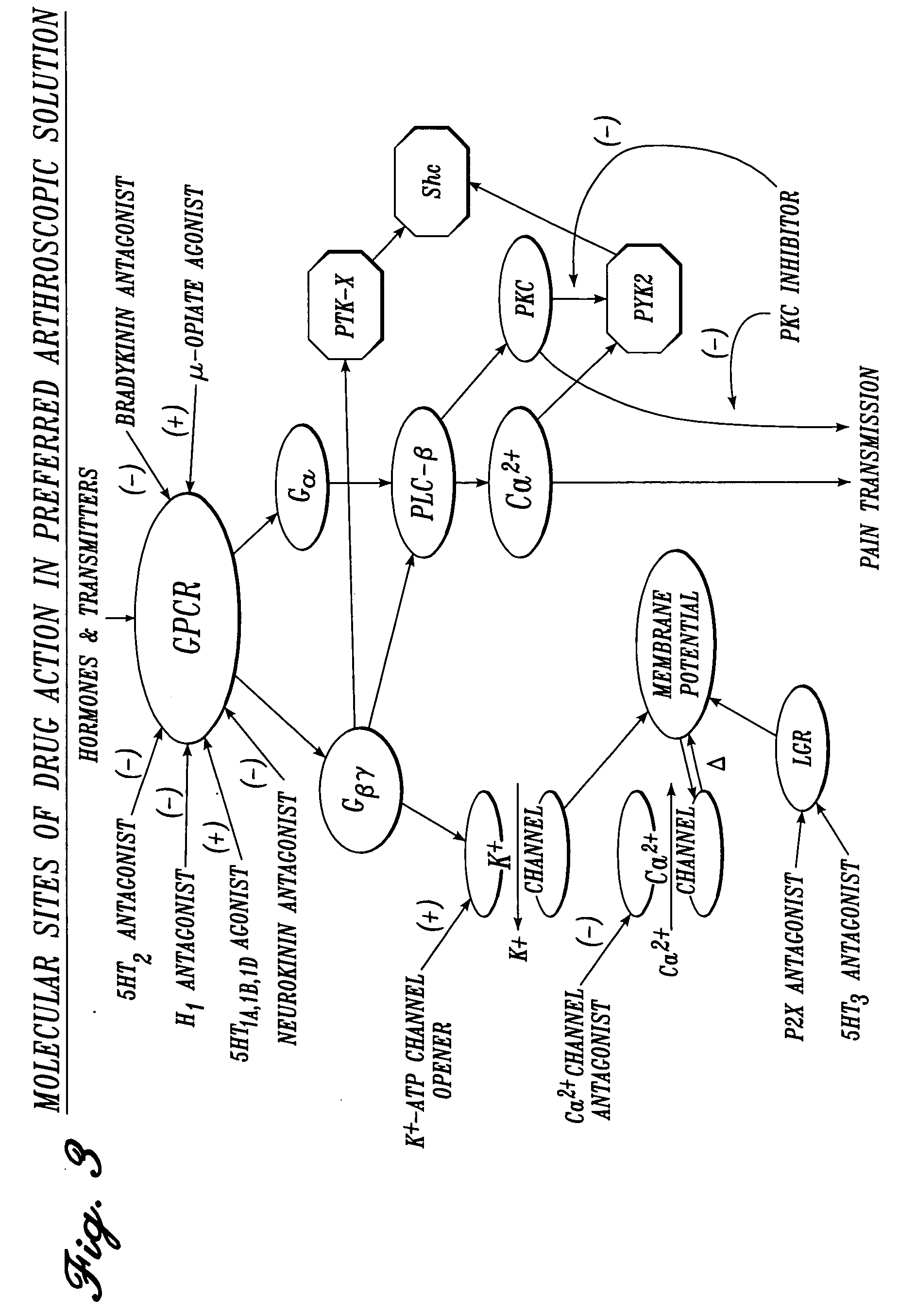 Cardiovascular compositions and methods using combinations of anti-platelet agents