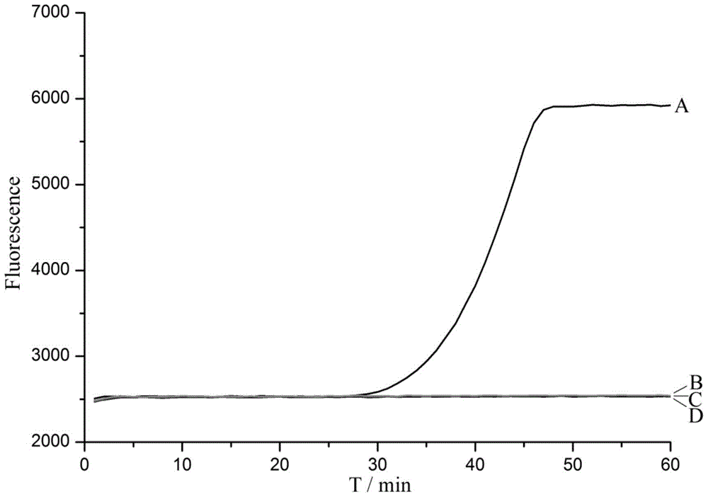 A nucleic acid constant temperature amplification method initiated by a single primer