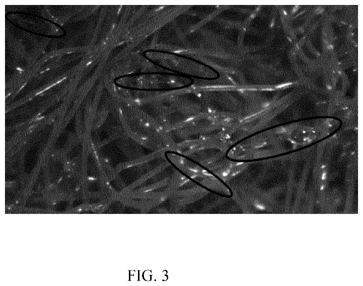 Non-woven structure with fibers catalyzed by a metallocene catalyst