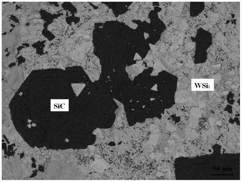 A kind of preparation method of metal tungsten gradient coating on the surface of carbon/carbon composite material