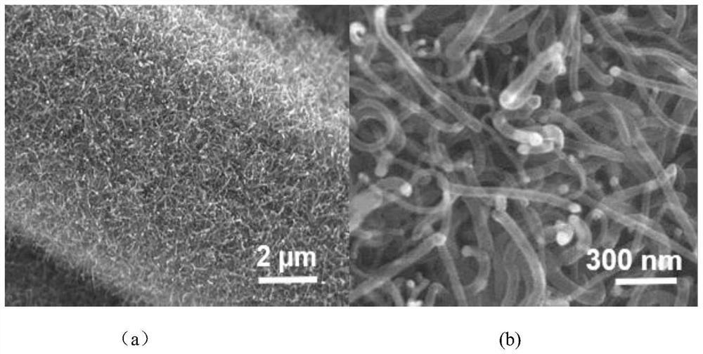 A 3D multifunctional flexible material and its application