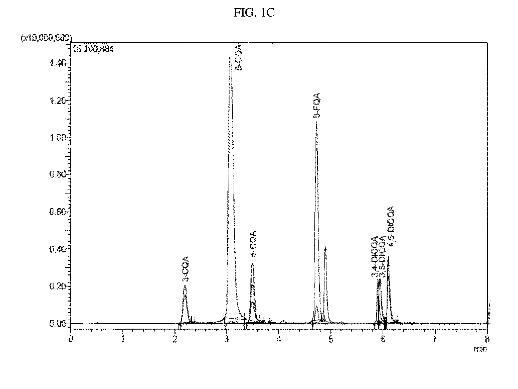 Compositions of chlorogenic acid and methods for making and using the same in obesity management