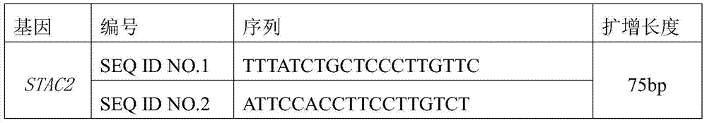 Application of stac2 gene and its encoded protein in inhibiting pelvic prolapse