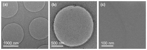 Application of functionalized graphene film in three-dimensional reconstruction of cyro-electron microscope