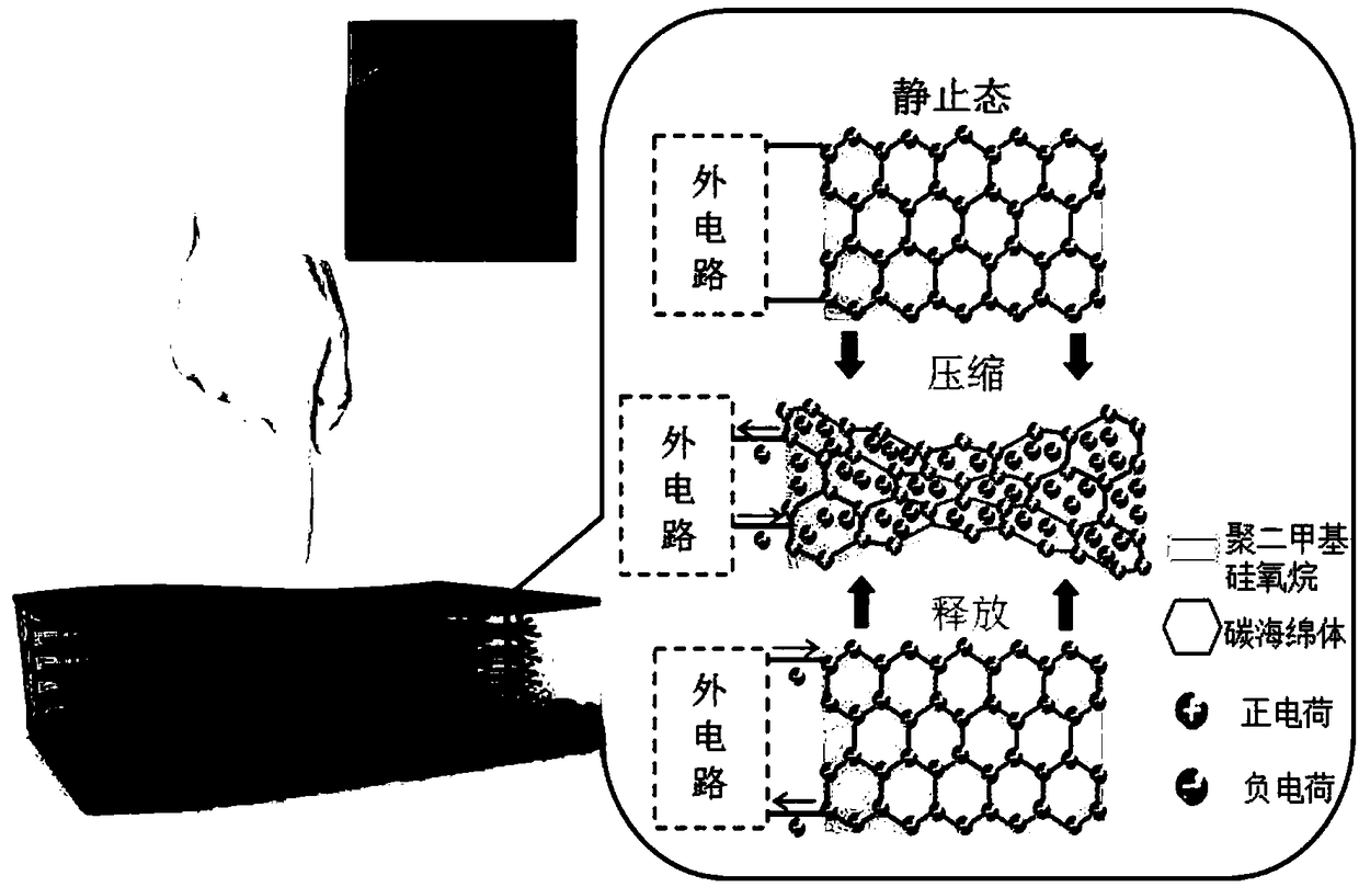 A kind of silicone rubber-carbon sponge composite material and its preparation method and application