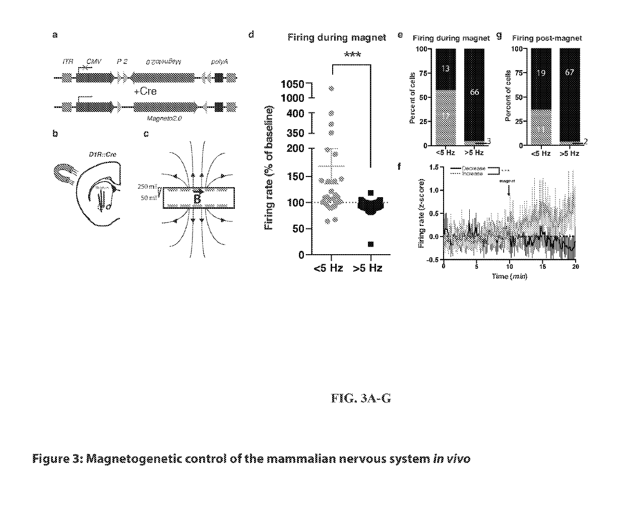 Compositions and their use for controlling the nervous system in vivo