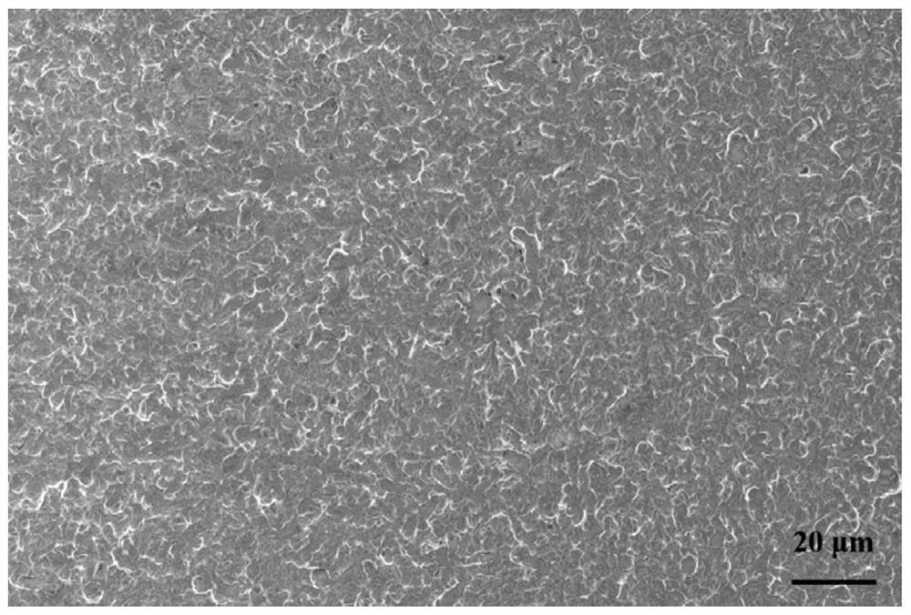 A kind of high-adhesion phytic acid-based aluminum alloy surface colored chemical conversion film solution and its application