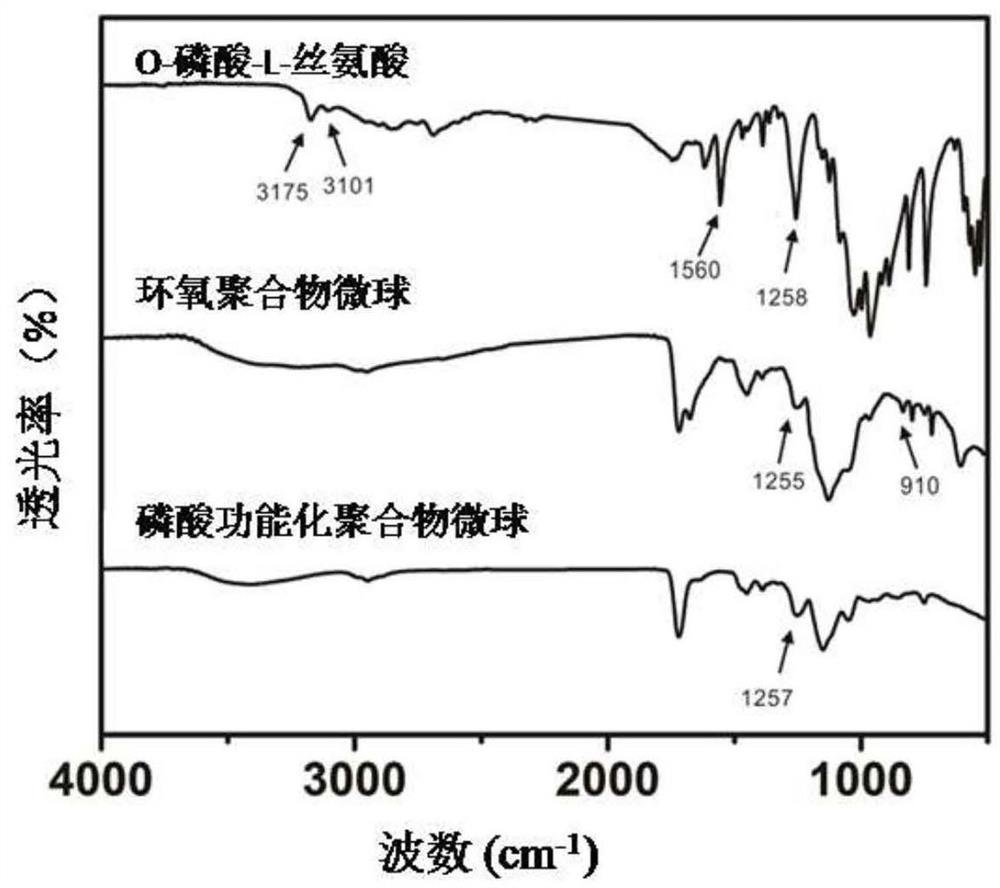 A phosphorylated peptide adsorbent and its preparation and application