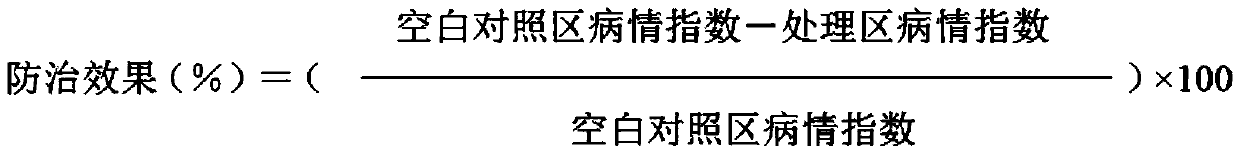 Bactericide composition containing tebuconazole and fludioxonil and used for controlling brown rot of hylocereus undatus as well as application of bactericide composition