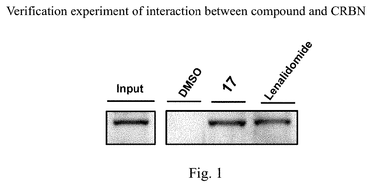 Isoindoline compound, and preparation method, pharmaceutical composition, and application of isoindoline compound