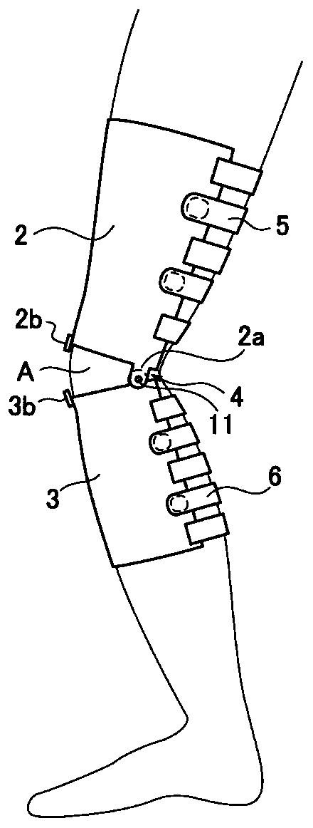 Knee joint orthosis