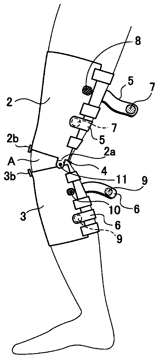 Knee joint orthosis