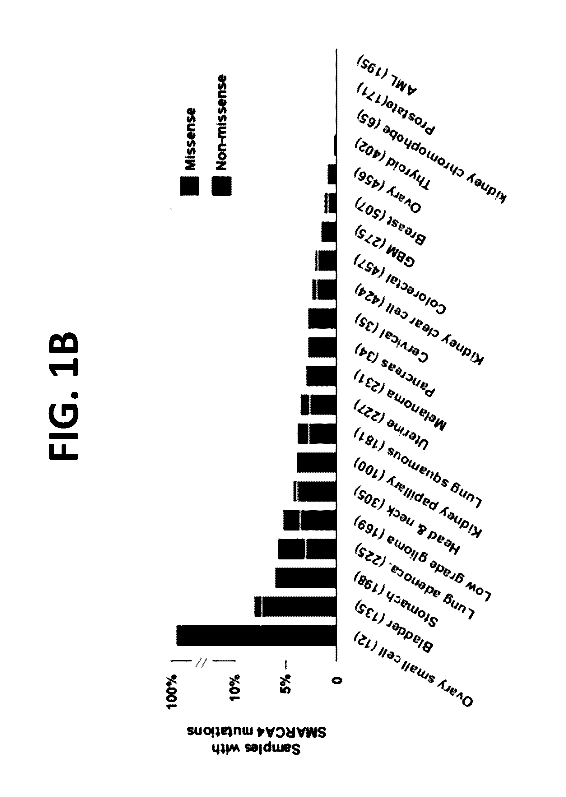 Compositions and methods for the diagnosis and treatment of ovarian cancers that are associated with reduced smarca4 gene expression or protein function