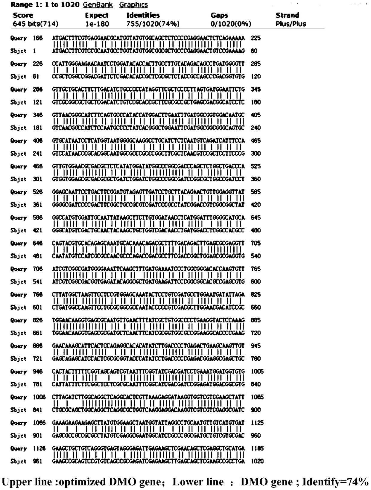 Method for improving soybean herbicide dicamba resistance and plant light sensitivity through transgenic DMO (Dicamba Monooxygenas) gene