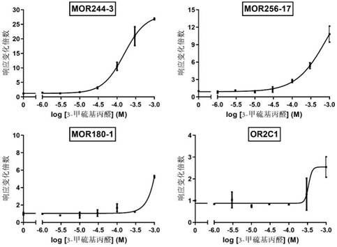 Application of olfactory receptor in identification of 3-methylthio-propionaldehyde and method for detecting 3-methylthio-propionaldehyde
