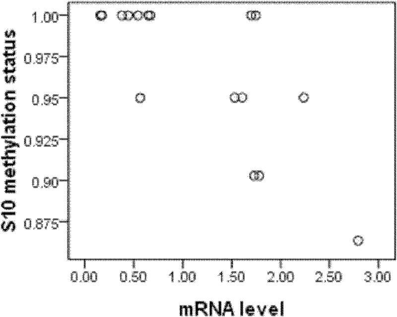 Method for deducting CYP3A4 gene expression quantity